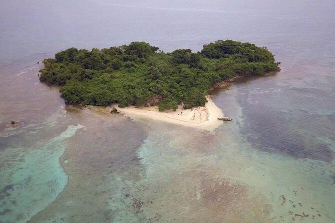 Negril Ricks cruise PLUS Booby Cay Lobster & Cave Snorkeling - Seven Mile Beach: your first reef swim (and a fast taste of the coast)