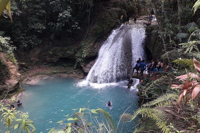 Ocho Rios Blue Hole and Dunn's River Falls Tour - Price and Value: Why $89.72 Feels Reasonable Here