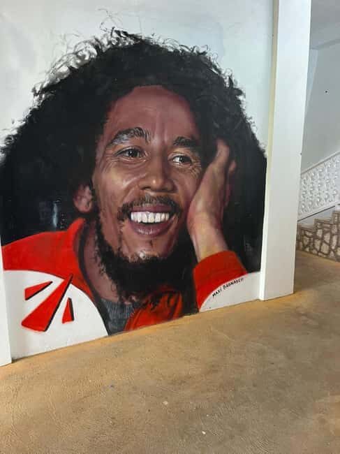 Ocho Rios: Bob Marley's Birthplace Nine Mile Reggae Tour - Getting to your pickup: hotel convenience and cruise-ship coordination