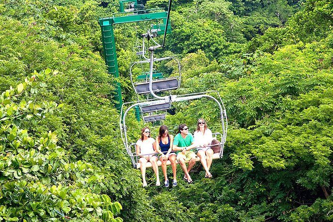Ocho Rios Day Tour 3 in 1 Combo - Price and Value: Is $220 Worth It?