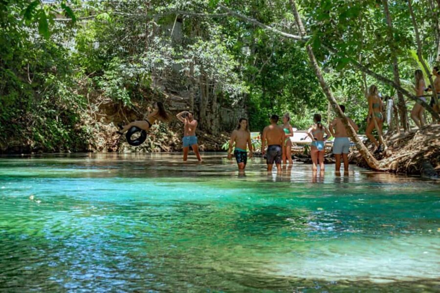 Ocho Rios: Dunn’s River Falls & Reggae Hill Tour - Dunn’s River Meets Reggae Hill: The Two-Part Day That Works