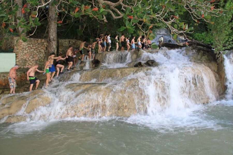 Ocho Rios: Dunn’s River Falls & Reggae Hill Tour - The Included Lunch, Rum Punch, and Tapas-Style Good Eating