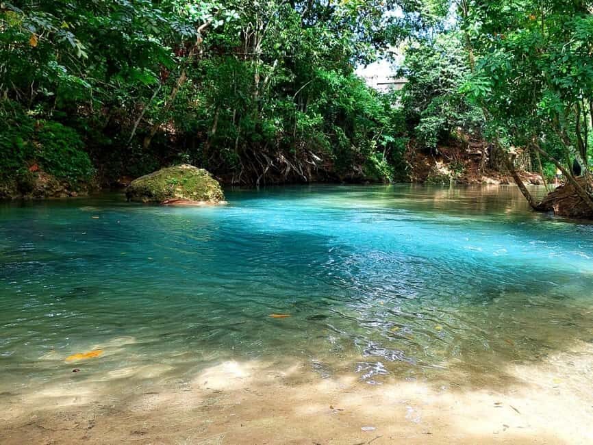 Ocho Rios: Dunn’s River Falls & Reggae Hill Tour - Possible Speed Bumps: Pickup, Timing, and Shopping Stops