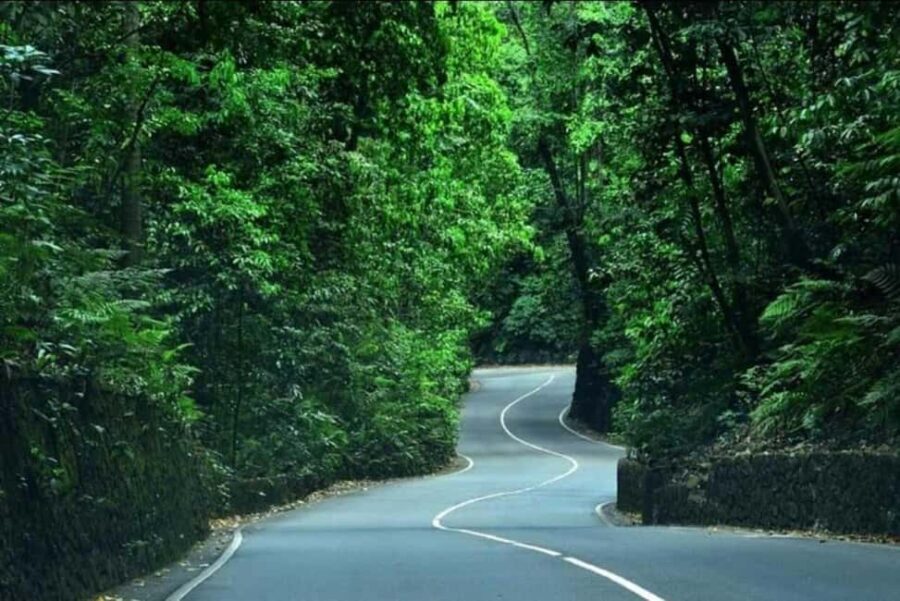 Ocho Rios: Guided Sightseeing Tour - Should You Book This Ocho Rios Guided Sightseeing Tour?