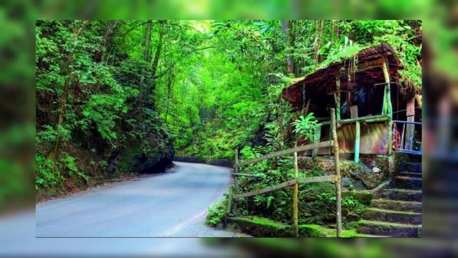 Ocho Rios: Guided Sightseeing Tour - Panoramic Viewpoints Over the Caribbean Sea: Where Photos Actually Make Sense