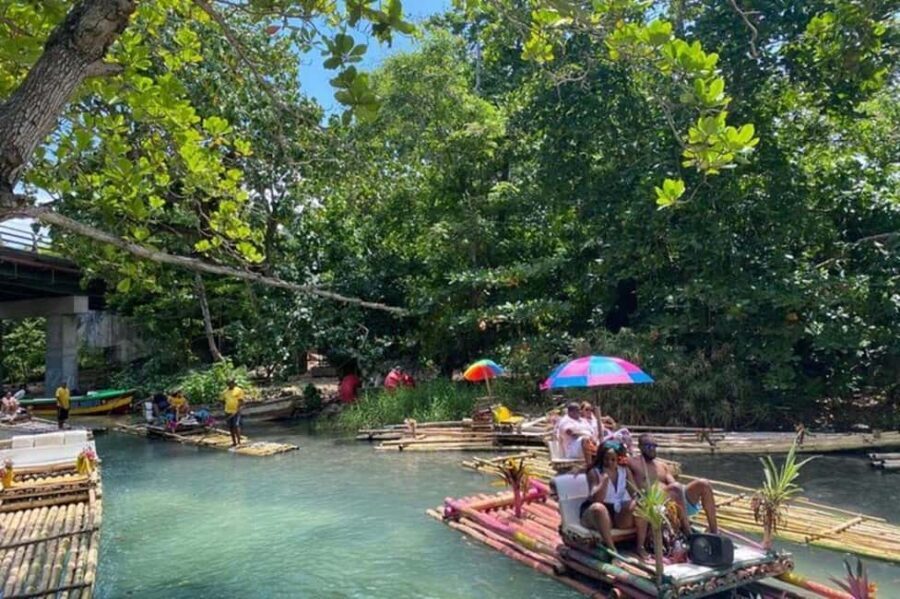Ocho Rios: Horseback Riding in the Ocean and Bamboo Rafting - Fern Gully: the best kind of roadside rainforest