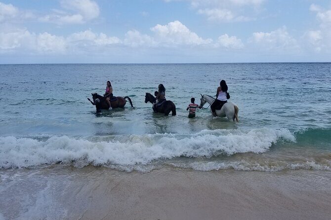 Ocho Rios Private Horse Riding, River Tubing and Rafting[Entry fee not included] - Your Guide and the Small Details That Make It Easier