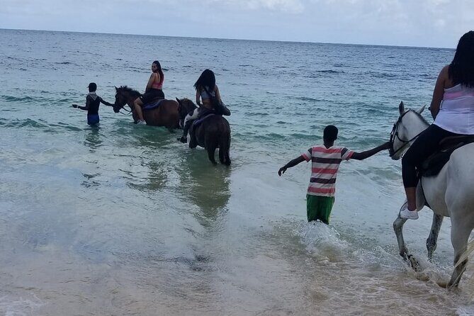 Ocho Rios Private Horse Riding, River Tubing and Rafting[Entry fee not included] - Weather, Water Conditions, and When Plans Change