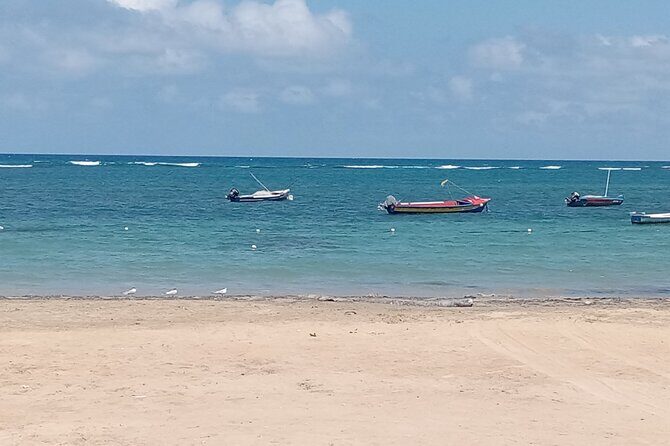 Ocho Rios Scenic Views, Culture and Adventure - Price and Value: What $70 Buys You in Real Terms