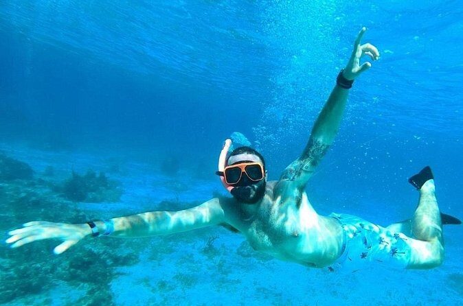 Party Catamaran Cruise with Open Bar and Snorkeling Montego Bay - Who This Party Catamaran Fits Best