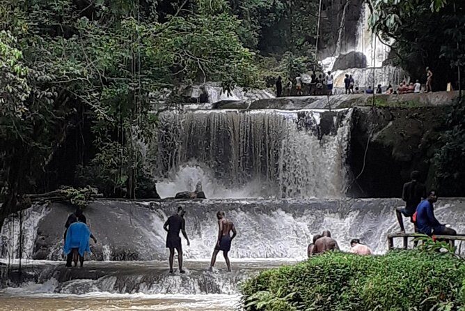 Pelican Bar, Appleton Rum Tour, YS Falls Jamaica south coast experience Montego - Should you book this Montego Bay south-coast route?
