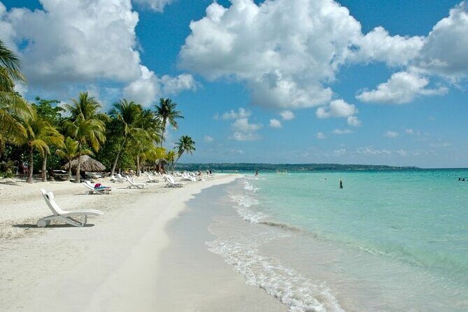 Princess Grand/Senses Mangrove Airport Transfer from Montego Bay - The Driver Factor: Recommendations Without the Pressure