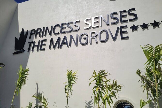 Princess Senses The Mangrove Airport Transfers - Who This Transfer Fits Best (And Who Might Want Something Else)