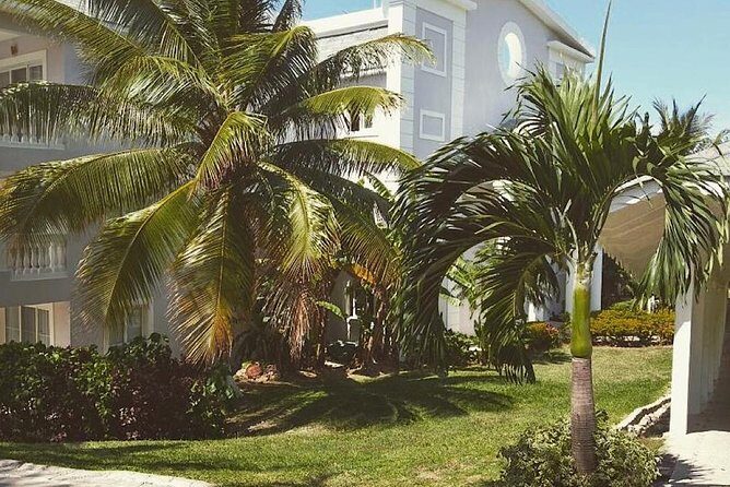 Private Airport Transfer to Lady Hamilton and Grand Palladium - Round-Trip Value: Starting Right and Leaving Smooth