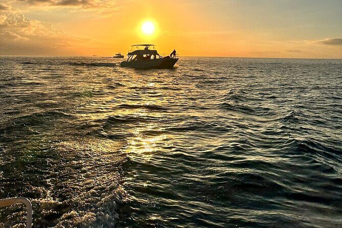 Private Airport Transfer to Royalton, Ocean Coral Spring & Excellence Oyster Bay - One-way vs round-trip: when the return pickup matters most