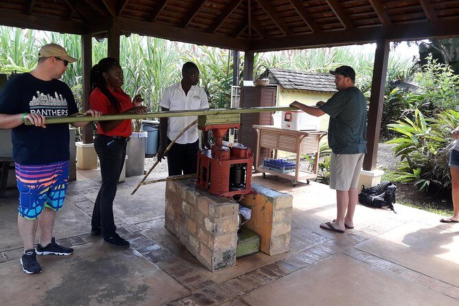 Private Appleton Estate Rum and Pelican Bar Tour from Montego Bay - Entering the Joy Spence Appleton Estate Rum Experience (Why it’s more than a quick tour)