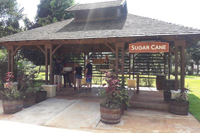 Private Appleton Estate Rum and Pelican Bar Tour from Montego Bay - The 2-Hour Estate Walk: Molasses Station, History Station, and Sugar Cane Juice