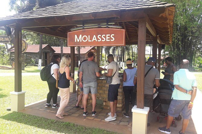 Private Appleton YS Falls and Black River Tour from Montego Bay - Key points to know before you go
