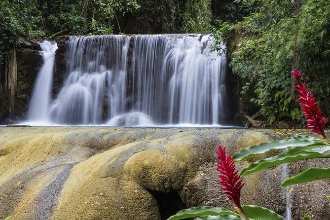 Private Appleton YS Falls and Black River Tour from Montego Bay - Stop 2: YS Falls Rope Swings, Terraces, and the Swim-Ready Reality