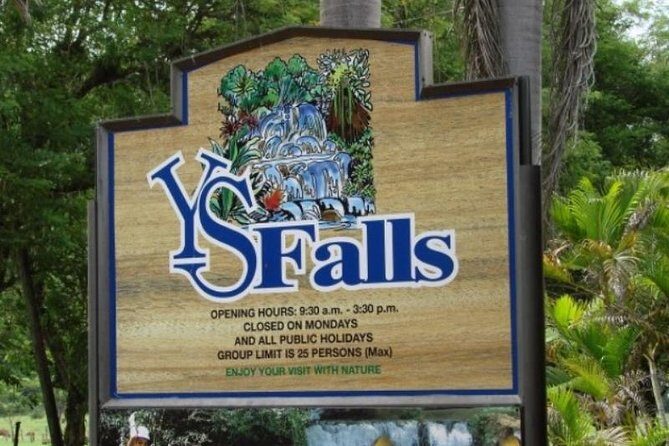 Private Appleton YS Falls and Black River Tour from Montego Bay - Stop 3: Black River Safari Cruise for Wild Crocodiles and Bird Life