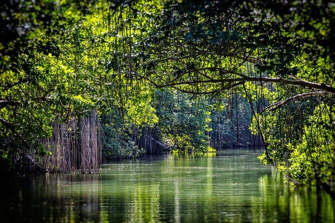 Private Appleton YS Falls and Black River Tour from Montego Bay - The Car Time Question: Are 8 Hours Too Much?
