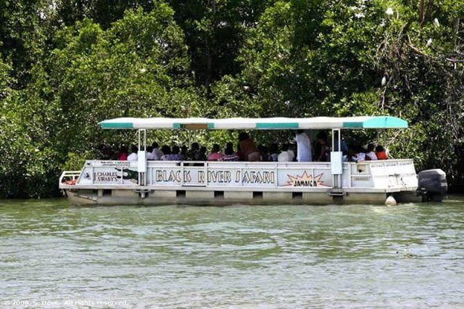 Private Appleton YS Falls and Black River Tour from Montego Bay - Stop 1: Joy Spence Appleton Estate Rum Experience and Your Tasting Plan