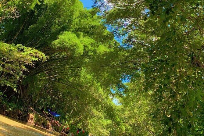 Private Bamboo River Rafting & Foot Massage from Montego Bay - Pickup, Air-Conditioning, and the Door-to-Door Reality Check