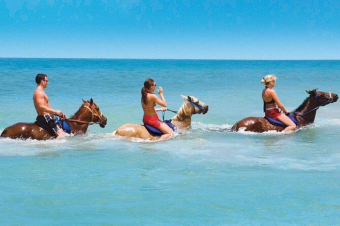 Private Beach Horseback Riding from Ocho Rios - Pickup and the Mammee Bay Road meeting point (what to expect)