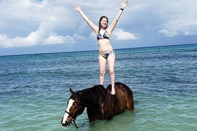 Private Beach Horseback Riding from Ocho Rios - The Hooves riding session: getting mounted, getting guided, then going at your pace