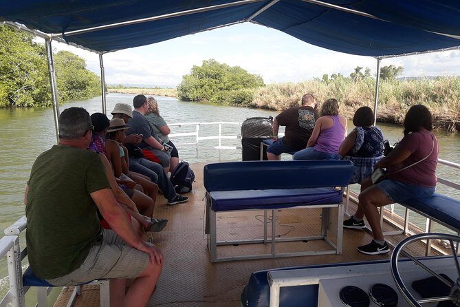 Private Black River Safari Tour from Montego Bay - What the boat guide teaches: ecology plus the Black River’s human story
