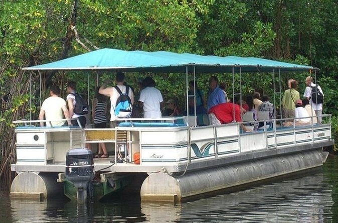 Private Black River Safari Tour from Montego Bay - Price and logistics: is $160 per person good value?