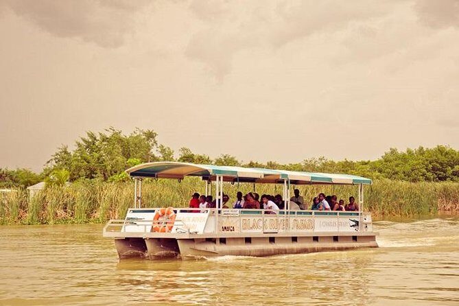 Private Black River Safari Tour from Montego Bay - Shaded open-air boat on the Black River: crocodiles and birdlife up close