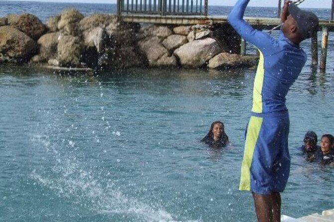 Private Dolphin Cove Adventure - Who This Dolphin Cove Adventure Suits Best (and Who Might Skip)