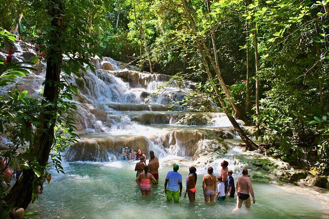 Private Dunn's River Falls Adventure from Montego Bay - Key Highlights at a Glance