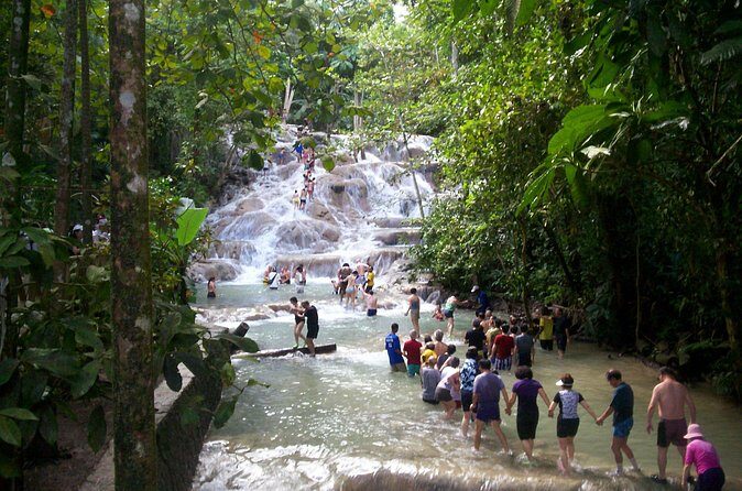 Private Dunn's River Falls Adventure from Montego Bay - Price and Value: How $155 Adds Up (or Doesn’t)