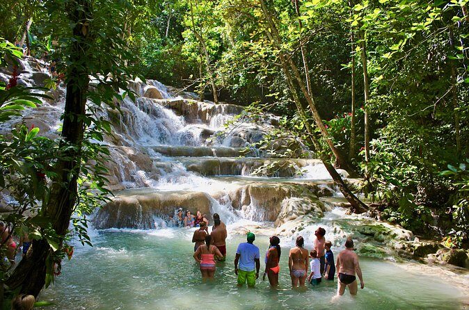 Private Dunn's River Falls Adventure from Montego Bay - Who This Tour Suits Best (and Who Might Want a Different Option)