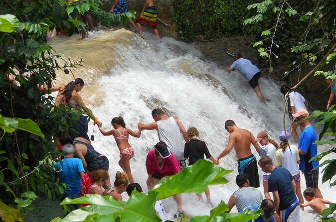 Private Dunns River Falls and Beach Break Excursion from Falmouth - Stop 2: Scotchies Jerk Cuisine Stop for a Real Taste