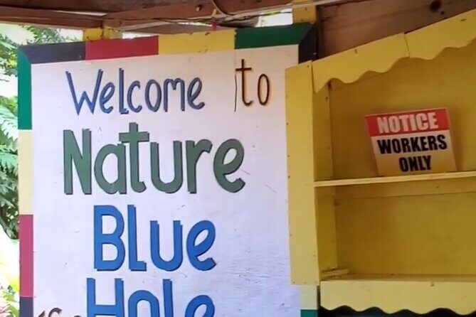 Private Dunns River Falls and Blue Hole from Montego Bay Tour - Who this private tour suits best