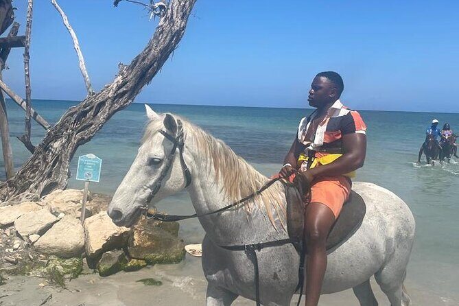 Private Dunns River Falls and Horse Back Riding - Montego Bay Day Plan: how the 4 hours adds up