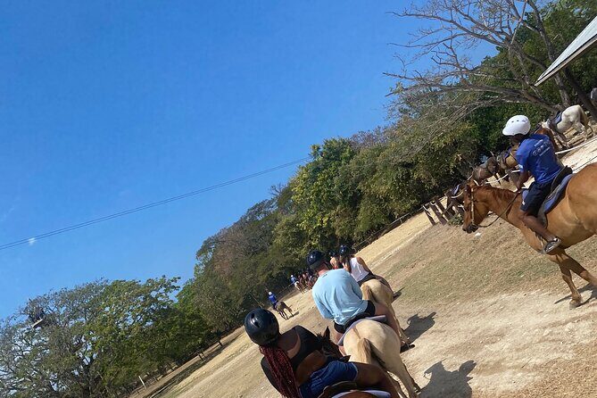 Private Dunns River Falls and Horse Back Riding - Key highlights you’ll actually care about