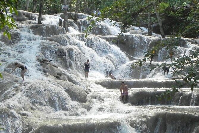 Private Dunns River Falls and Horse Back Riding - Welcome bottle, WiFi ride, and the Jamaican pudding moment