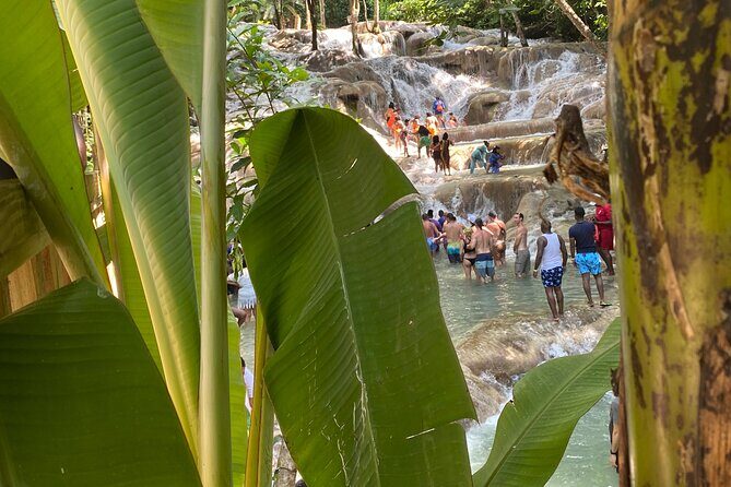 Private Dunns River Falls and Horse Back Riding - Choosing your horse, naming it, and getting the best photos