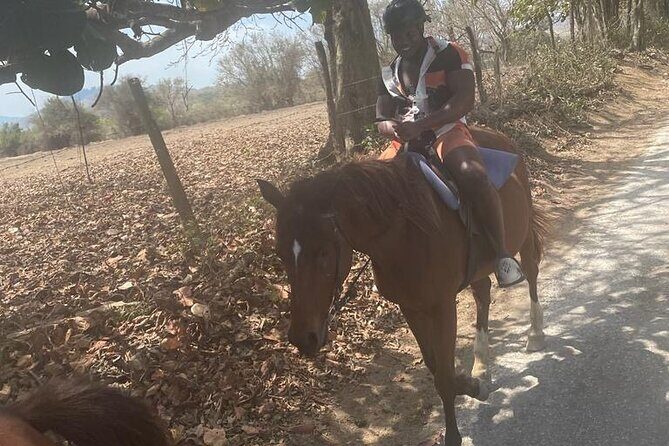 Private Dunns River Falls and Horse Back Riding - River walking options: climb, cool off, or use the benches