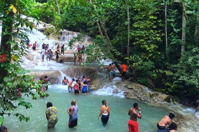 Private Dunn's River Falls from Ocho Rios - Key points that make this tour a smart pick
