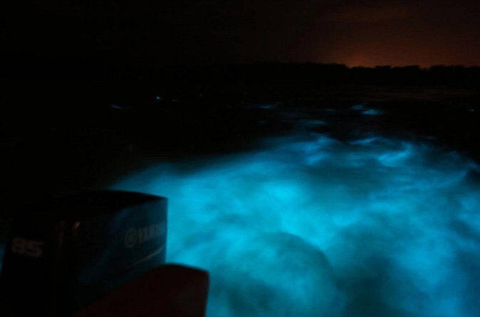 Private Guided Night Tour of Luminous Lagoon in Montego Bay - The Beach Party Finish: Limbo and Fire Show After Dark