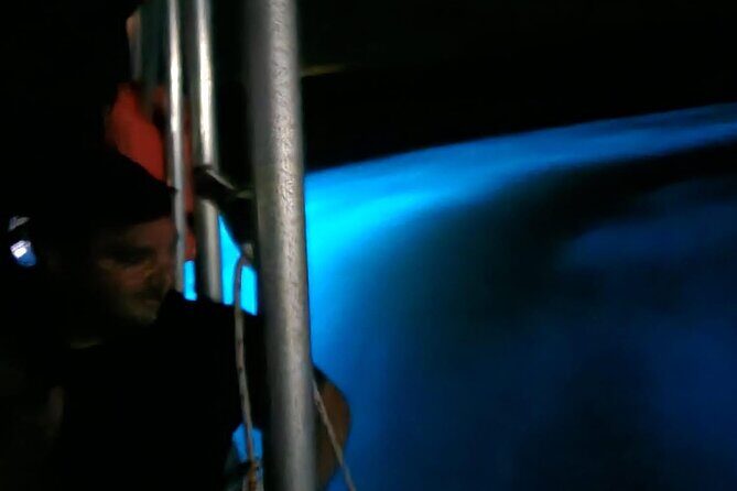 Private Guided Night Tour of Luminous Lagoon in Montego Bay - Price and Value: What $110 Gives You, and What You Still Need to Plan