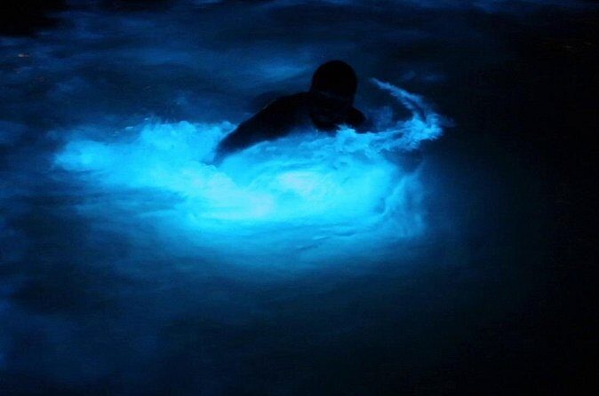 Private Guided Night Tour of Luminous Lagoon in Montego Bay - Practical Advice for a Smooth Night (Without Overthinking It)