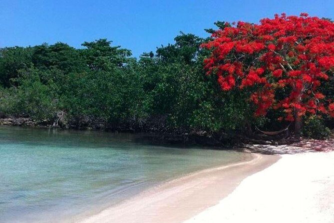 Private Half Moon Beach Tour from Montego Bay - Calico Jack’s Private Island: boat time and meal mood
