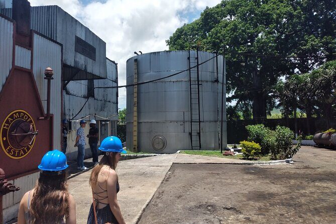Private Hampden Estate Rum Tour from Montego Bay or Falmouth - Hampden Estate and the Trelawny method: why this tour feels different