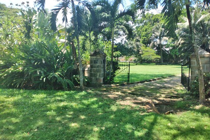 Private Hampden Estate Rum Tour from Montego Bay or Falmouth - Fermentation to distillation: the step-by-step value